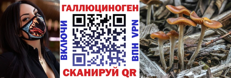 Псилоцибиновые грибы Psilocybine cubensis  Рубцовск 