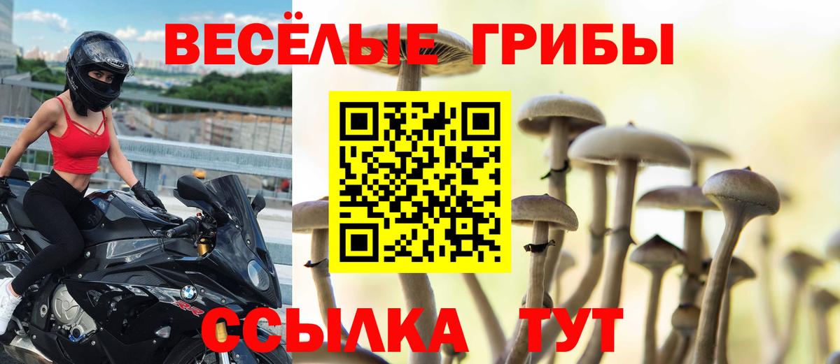 Рубцовск  Псилоцибиновые грибы ЛСД  Галлюциногенные грибы Cubensis  цена   Вход с VPN 