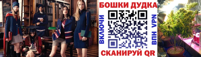 наркота Рубцовск Бошки марихуана Bruce Banner